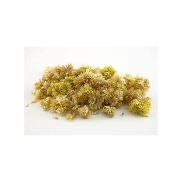 Imagem de Chá Macela Flores 100g - Achyrocline Satureioides - no-brand