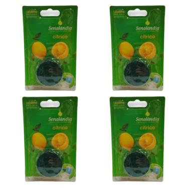 Imagem de 4 Detergente Sanitário Lavanda Marine Cítrico Bloco Pastilha Vaso Banh