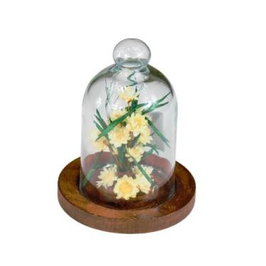 Imagem de Mini Arranjo de Sempre Viva Branca na Cúpula de Vidro - Pense Flores