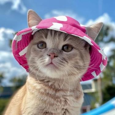 Imagem de Chapéu de pescador animal de estimação estampa de vaca elegante boné ajustável para cães moderno gato proteção solar acessório para cabeça adequado para 8 a 13 kg