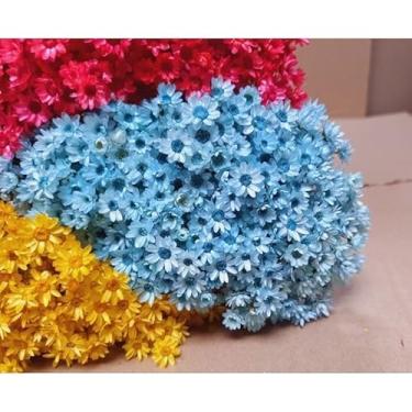 Imagem de Flores Sempre Viva Secas para Decoração – Kit 300 a 2100 Unidades Ideal para Festa Casamento e Arranjos (Azul claro,7 buquês)
