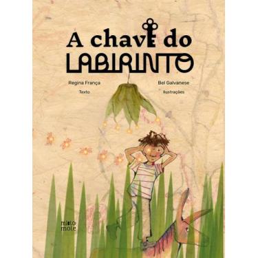Imagem de Livro - A chave do labirinto