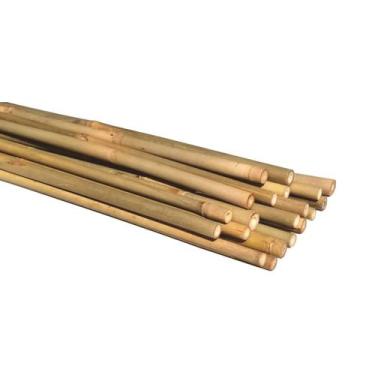 Imagem de Bambu Cavo Tratado Para Artesanato: 50cm x 3cm - 12un - NC Caieiras