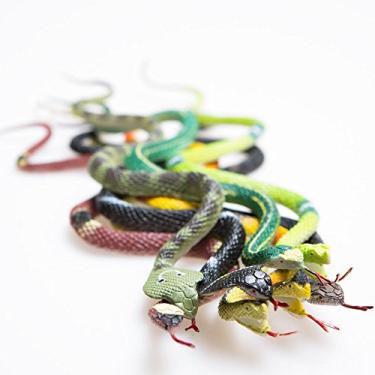 Imagem de Rhode Island Novelty Cobras de floresta tropical de 35,5 cm, uma dúzia sortidas