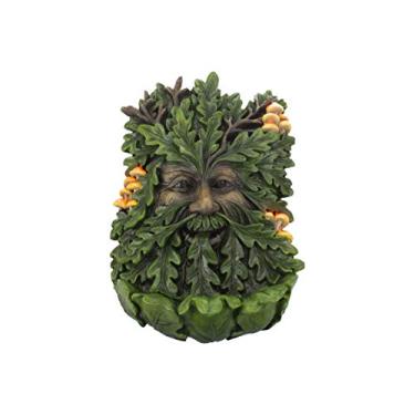 Imagem de Nemesis Now D4267M8 Placa de parede de madeira de sabugueiro 19 cm Verde, Poliresina, 23,8 cm