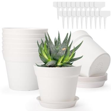 Imagem de GREANER Vasos de flores pequenos, 8 pacotes de vasos pequenos de 10 cm para plantas, vasos de plástico com pires e orifícios de drenagem para suculentas, ervas, orquídeas, mudas, cactos, flores