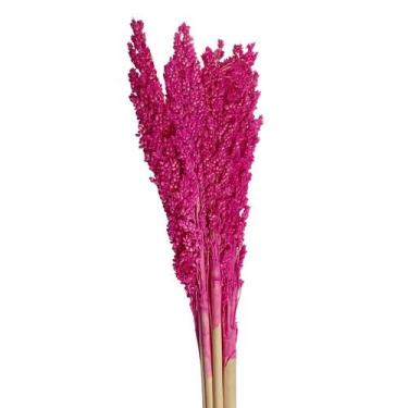 Imagem de Flor de Sorgo Seco Desidratado - Pense Flores, Rosa