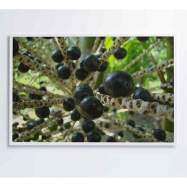 Imagem de Quadro Açaí 60x40 Cm Adesivo Fotográfico