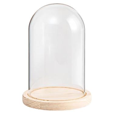 Imagem de Chewtoyo Pote de sino cloche de vidro com base de madeira, cúpula de vidro transparente de 14 x 19 cm, exibição para projetos DIY, modelos, plantas, estatuetas, colecionáveis, decoração de casa