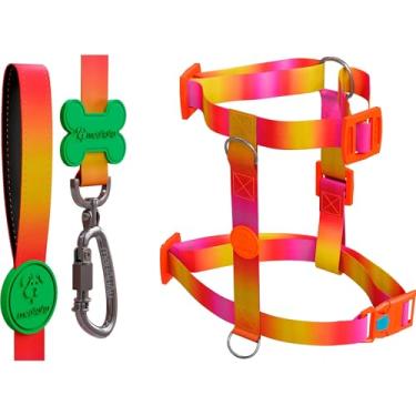 Imagem de Kit H 3 em 1 Com Peitoral H Para Cachorro, Guia Tradicional e QR Code Localizador (Citrus, P)