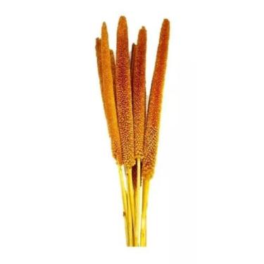 Imagem de Buquê Capim Flor Mileto Laranja Secos Arranjo Noiva Pampas - FLORA FUL