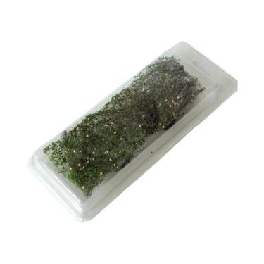 Imagem de Miniatura De Videira Para Paisagens De Modelos De Trem DIY, Cenários F