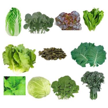 Imagem de Kit 220 Sementes Hortaliças Folhas 10 Variedades para  Horta Caseira -