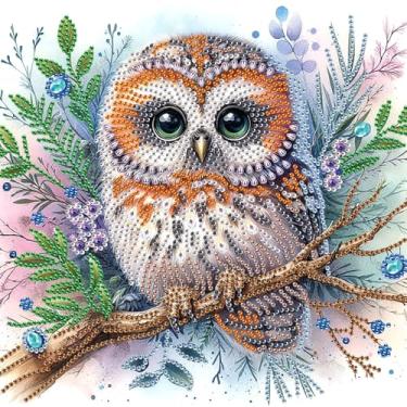 Imagem de Kits de pintura de diamante para adultos, kits de arte de diamante de forma especial de coruja 5D para iniciantes, pintura de strass de cristal para decoração de parede de casa, 30 x 30 cm