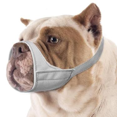 Imagem de Focinho curto Mayerzon com focinho de cachorro chihuahua Shih Tzu