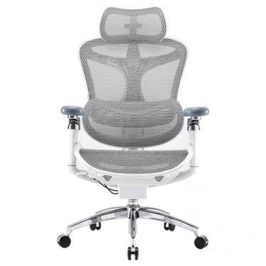 Imagem de Cadeira Ergonômica de Escritório SIHOO Doro C300 Pro Cinza, Braços 6D Ultra Macios, Apoio Lombar Adaptativo, Assento Ajustável