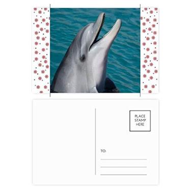 Imagem de Cartão postal de Natal com estampa de golfinho da água do oceano, imagem da natureza, celebração, cartão postal de bênção