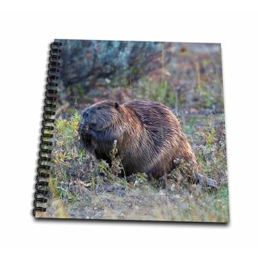 Imagem de Livro de desenho 3D Rose Beaver Foraging in Autumn