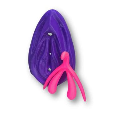 Imagem de Vulva Realista Didática Em 3d Anatomia Educativa Treinamento - Anis