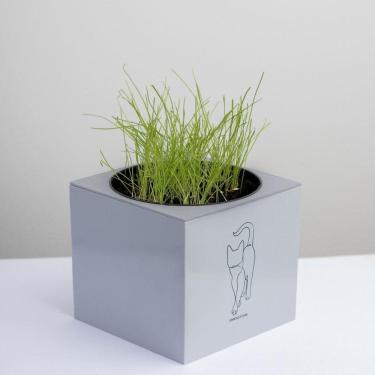 Imagem de Kit Gatos Vaso Autoirrigável + Erva - Cinza Claro - 10cm