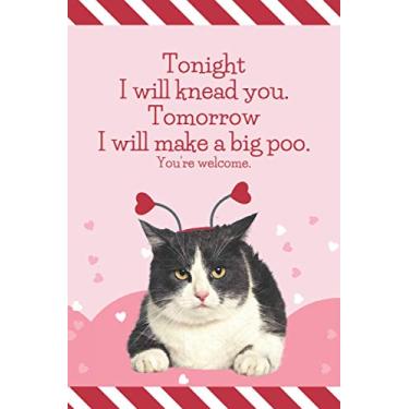 Imagem de Tonight I will knead you. Tomorrow I will make a big poo.: Funny Valentine's Day Card and Love Day Journal Gag Gift / 6x9 Lined Notebook To Write In / ... Making - Writing/Cat Pink Red Heart Cover