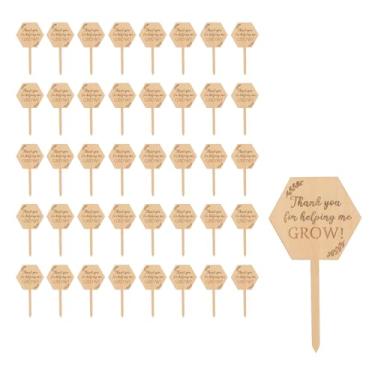 Imagem de Nicerity 40 peças "Thank You for Helping Me Grow", etiquetas de suculentas, estacas hexagonais, placa para sementes, flores, jardim, vasos de plantas, estufa, suprimentos