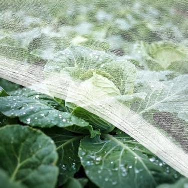 Imagem de RAINFLOW Rede de insetos para jardim – Barreira de malha de jardim, capas de fileira para canteiros de jardim, proteção de pragas, rede de cama de jardim elevada, capas de plantas de malha para