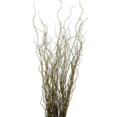 Imagem de Kit 20 Galhos 1 Metro Seco Vime Arranjo Desidratado Decoração Torto Vi
