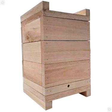 Imagem de Caixa Impa Para Abelhas Sem Ferrão Eucalipto 20x20