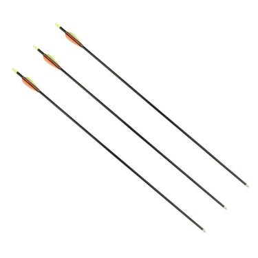 Imagem de Conjunto De Flechas Para Arco Ntk Com 10 Peças-Unissex