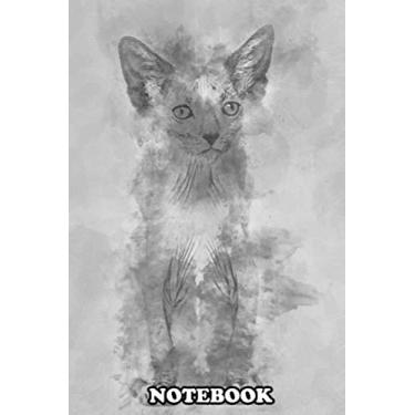 Imagem de Notebook: Kitten Lykoi Cat 7 Weeks Old Also Called The Werewolf C , Journal for Writing, College Ruled Size 6" x 9", 110 Pages