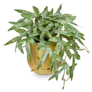 Imagem de Briful Plantas artificiais artificiais pequenas de 23 cm com vaso dourado, planta falsa de samambaia pteris cretica para casa, escritório, sala, mesa, prateleira, decoração interna