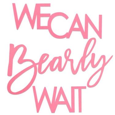 Imagem de Placa de feltro We Can Bearly Wait – Placa de chá de bebê para decoração de foto de balão de festa revelação de gênero (rosa)