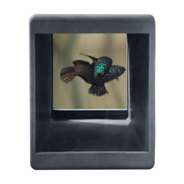 Imagem de Berço BWAquatics Betta para peixes de aquário - casa, túnel, caverna, ótimo para criação de peixes Bubblenest como bettas selvagens - acessórios e decoração para aquários de peixes Betta, brinquedos