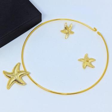 Imagem de Kit Colar choker aro Liso + Brincos com Pingente Estrela do mar Antial