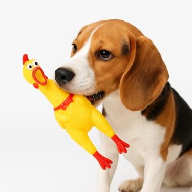 Imagem de Brinquedo Pet Galinha Amarela Tam M - Frango Borracha Apito