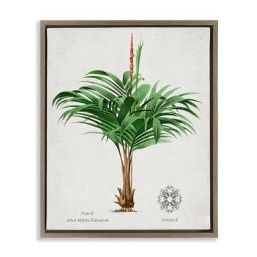 Imagem de Stupell Industries Tela flutuante marrom vintage ampla planta de palmeira emoldurada design de arte de parede por Val Rhodes, 21 x 17
