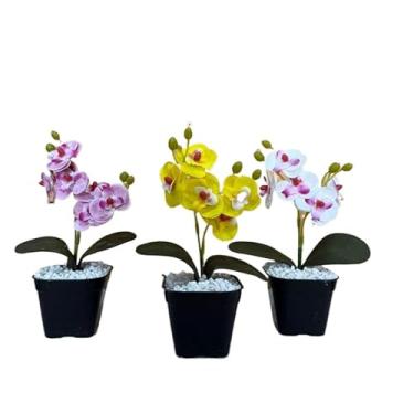 Imagem de Decoração Sala, kit três vasinhos mini arranjo de orquídeas permanentes efeito real decoração(TRIO MODELO 4)