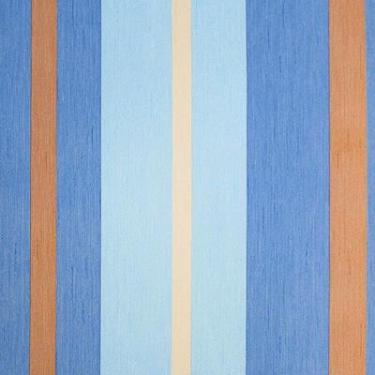 Imagem de Papel de Parede Safari Friends Listrado Colorido SF6203