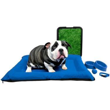 Imagem de Kit Colchonete Pet Grande Sanitário Grama Comedouro Coleira Bolinha - 