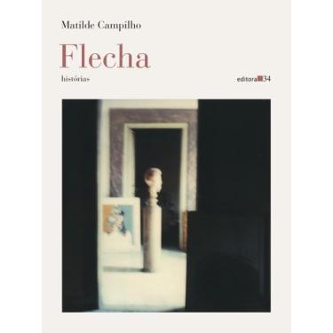 Imagem de Livro - Flecha (histórias) - Editora 34