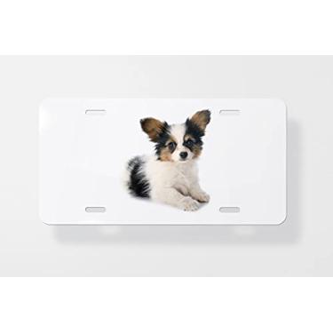 Imagem de Papillon Filhote Capa para placa de carro – Capa para placa de carro – Capa para moldura de placa de carro 15 x 30 cm