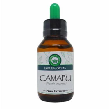Imagem de Camapu (Physalis Angulata) - Extrato 60ml - Herbal Foods