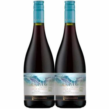Imagem de Kit 2 Garrafas Vinho Tinto Ventisquero Queulat Gran Reserva Pinot Noir