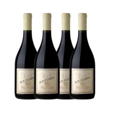 Imagem de Vinho Argentino DV Catena Historico Malbec-Petit Verdot 750 mL CX/4