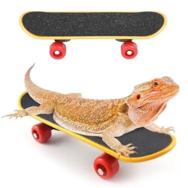 Imagem de TONGZHIY Brinquedos de skate de dragão barbudo, pássaro, papagaio, inteligência, brinquedos, tartaruga, acessórios para skate rápido, divertido, animal de estimação, brinquedo para brincar e treinar,