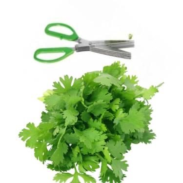 Imagem de Tesoura para Picar Alimentos, Lâminas de Aço Inoxidável, Cabo de Polipropileno, Corte Ziguezague, Ideal para Legumes e Verduras, Manual, Ambidestro, 15x20cm