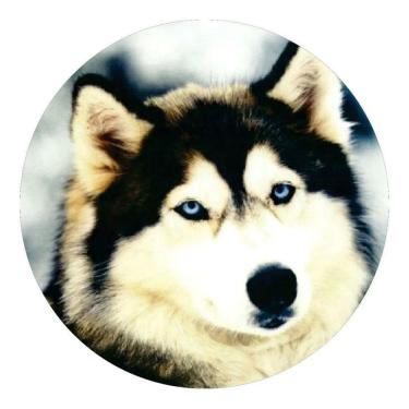 Imagem de Capa De Estepe Ecosport Aircross Crossfox Husky Olho Azul