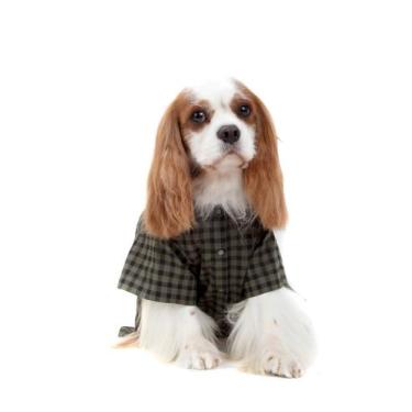 Imagem de Camisa Xadrez para Cachorro e Gato Pet - Bichinho Chic, Verde, 5