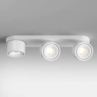 Imagem de ziidoo Luminária De Teto Interna Spotlight Led, Moderna 36 W, Lâmpada Branca 4000 K, Arandela Ajustável Em 360 ° Para Sala Estar, Corredor, Galeria, Montagem Embutida, Direcional (Médio, Número, 3)